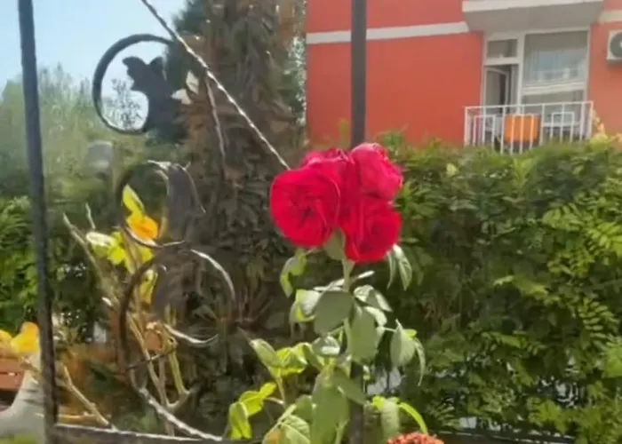 Apartment Yana Sanny