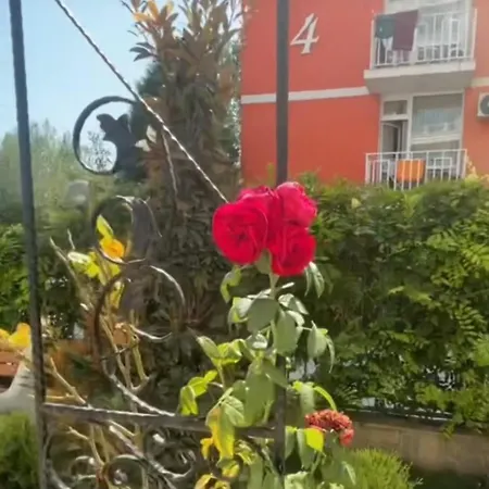 Apartmán Yana Sanny